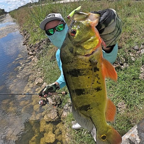 Ultra Light Fishing Rod - Image 15