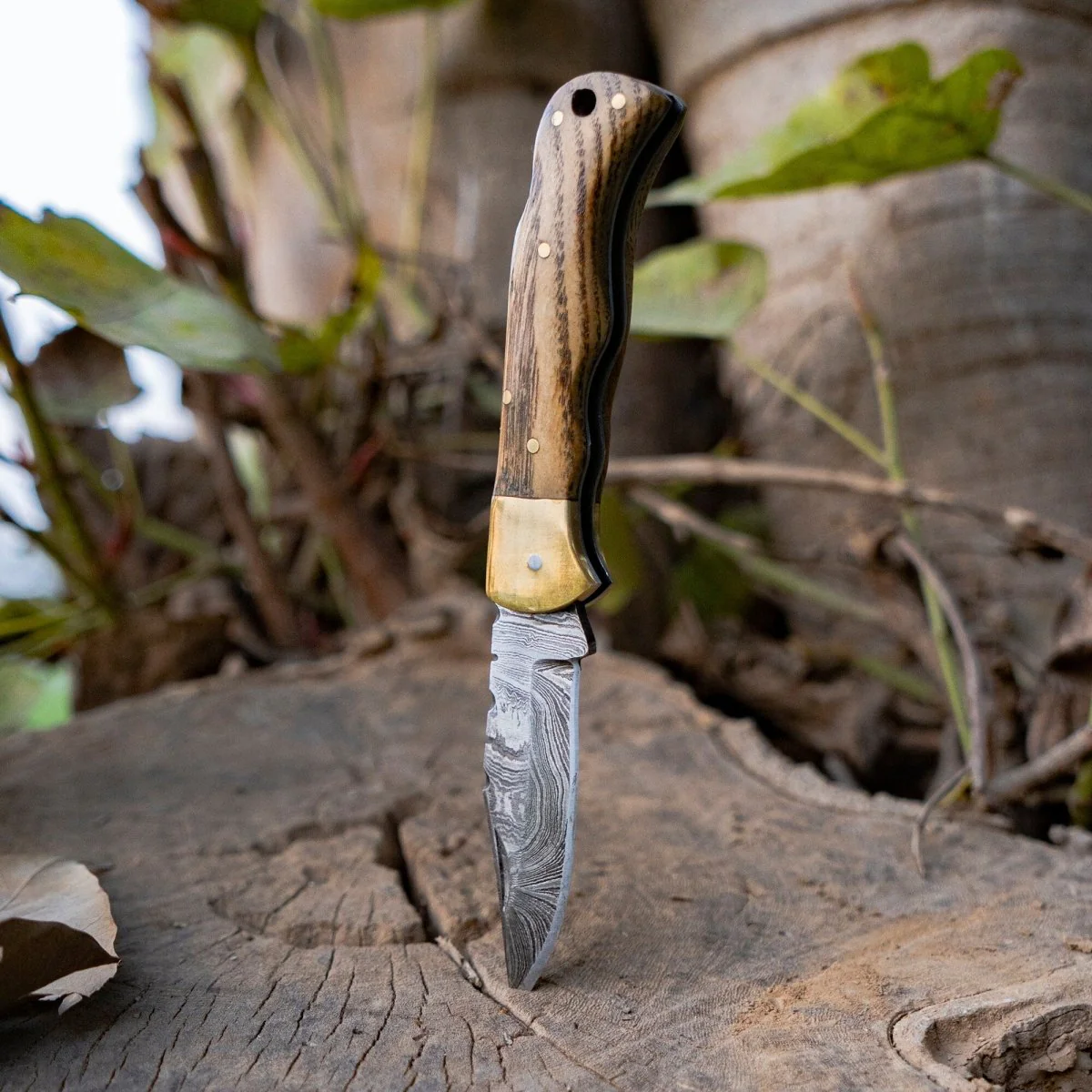 Vanguard Damascus Folding Knife with Charred Oak Handle - Image 5