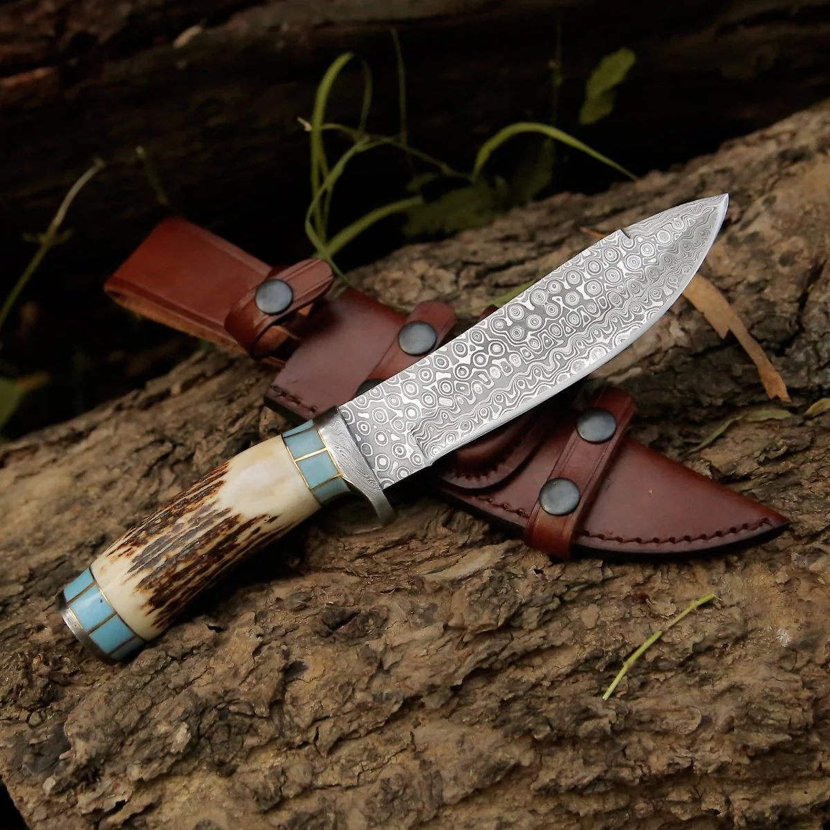 Viral Bull Nose Hunting Knife with Antler & Turquoise Handle - Image 4