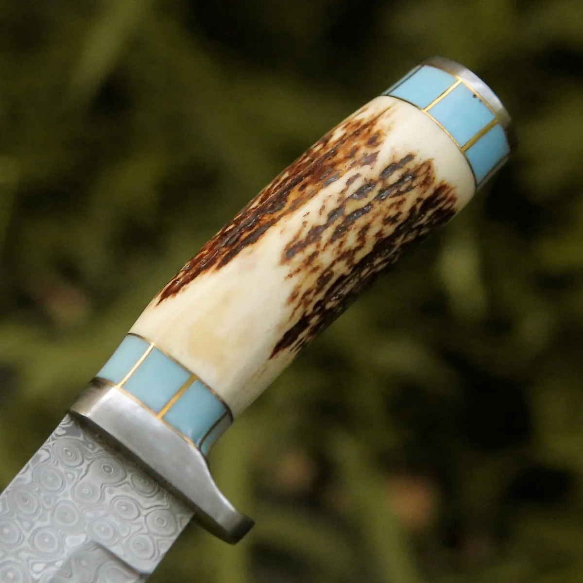 Viral Bull Nose Hunting Knife with Antler & Turquoise Handle - Image 7