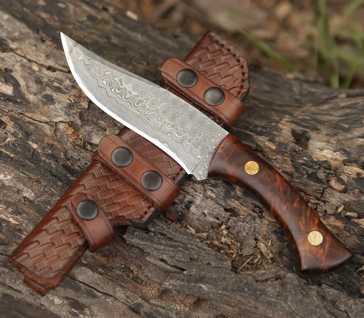 Virtue Damascus Hunting Knife Fixed Blade with Exotic Rose Wood Handle - Image 4